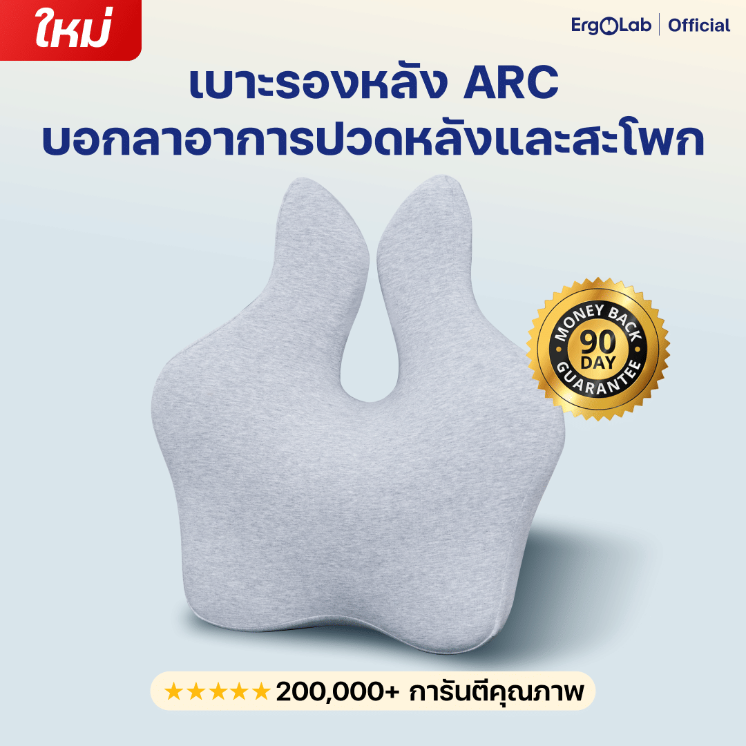 เบาะรองหลัง ERGOLAB 49X45X8 ซม. สีเทา_1